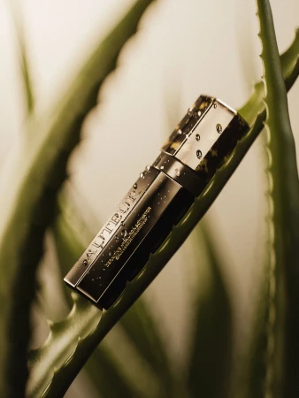 Elevated view of a black and gold cosmetic container labeled AUTEUR, resting on a bright green aloe plant stem.  Studio shot.