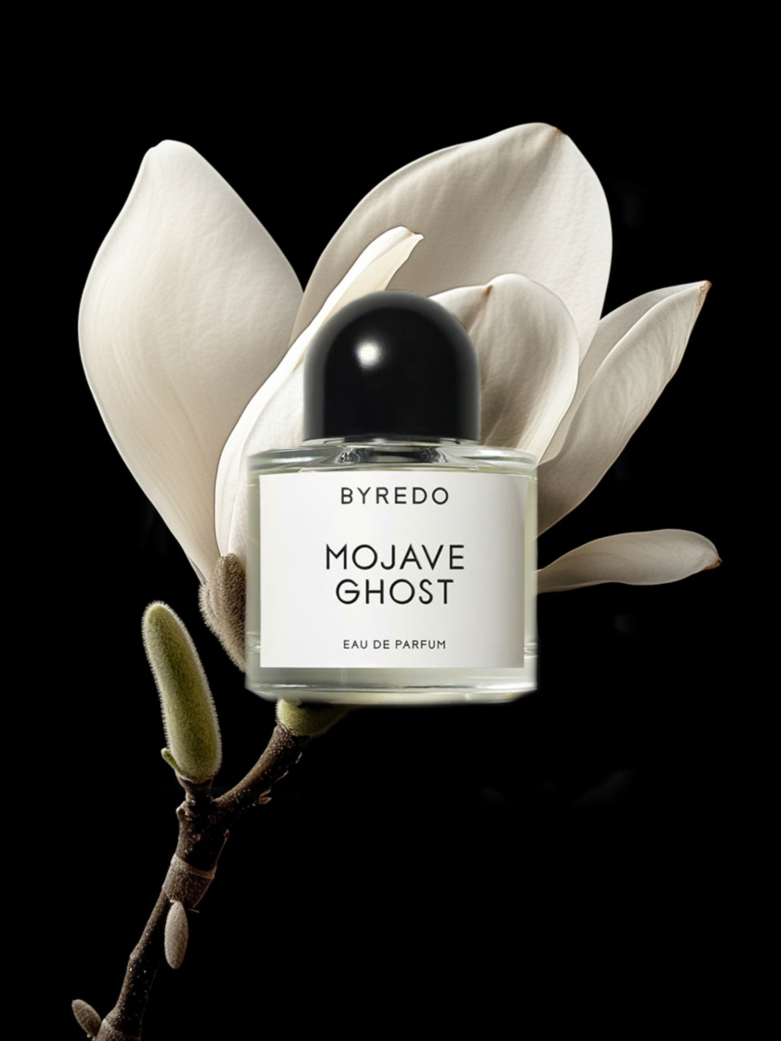 Byredo Mojave Ghost perfume bottle with black cap, white label, and magnolia flower on a black background in a studio shot.