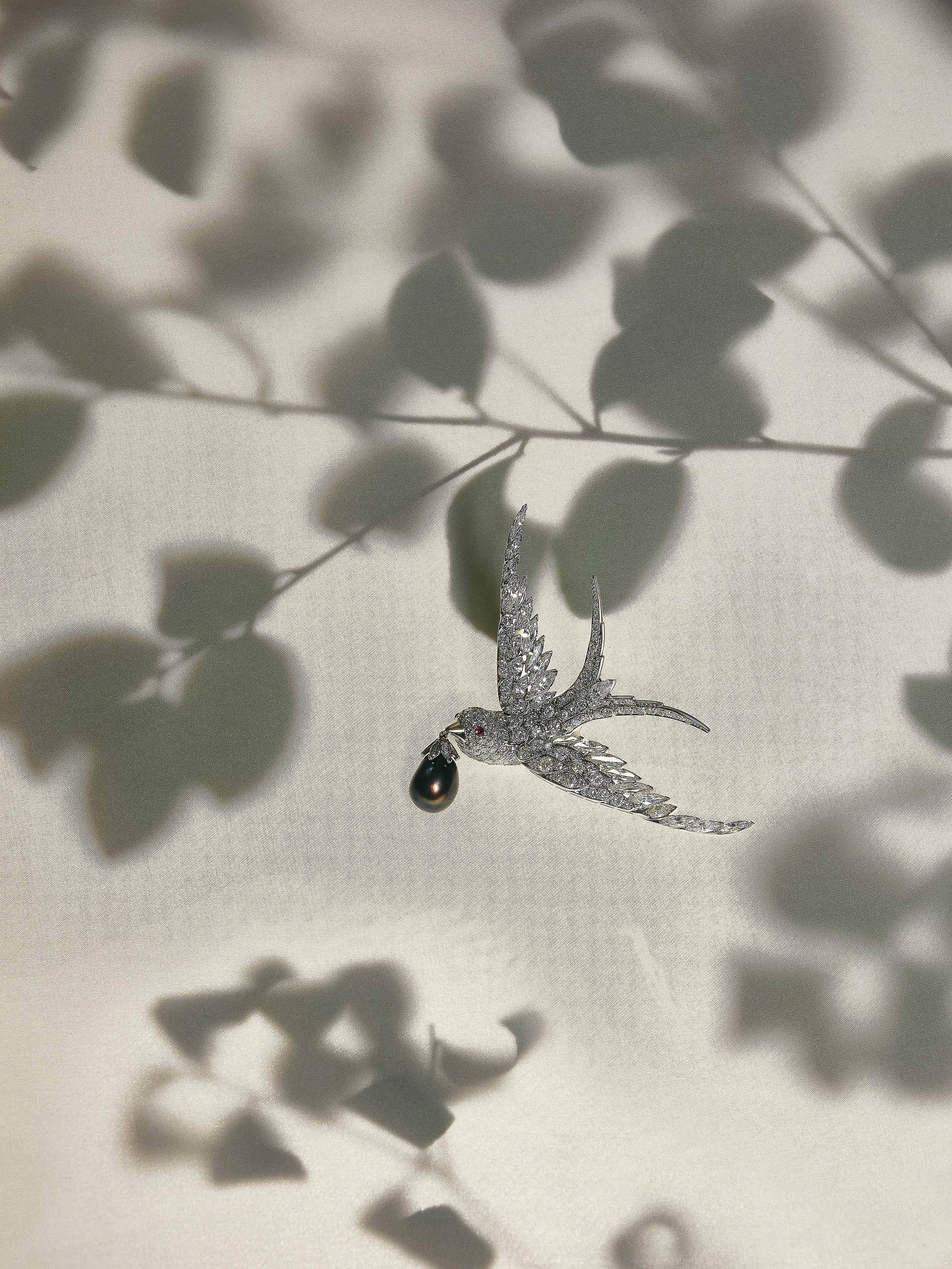 Sparkling bird brooch with a dark pearl against a pale background with leaf shadows, creating an elegant and visually intriguing piece of jewellery.