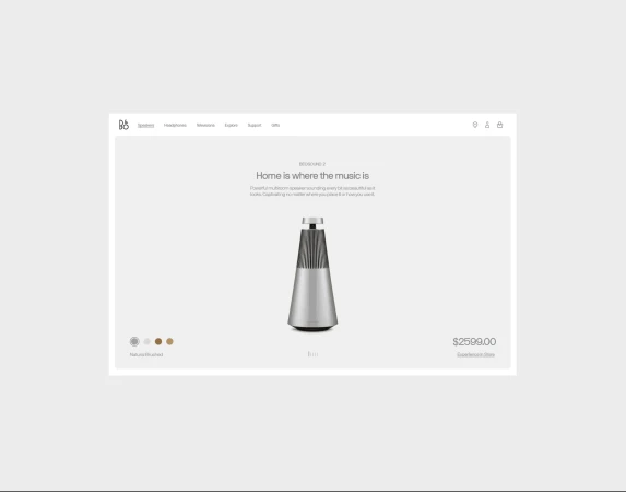 Silver multi-room speaker on a white background, displayed on a webpage with a price of $2599.00.