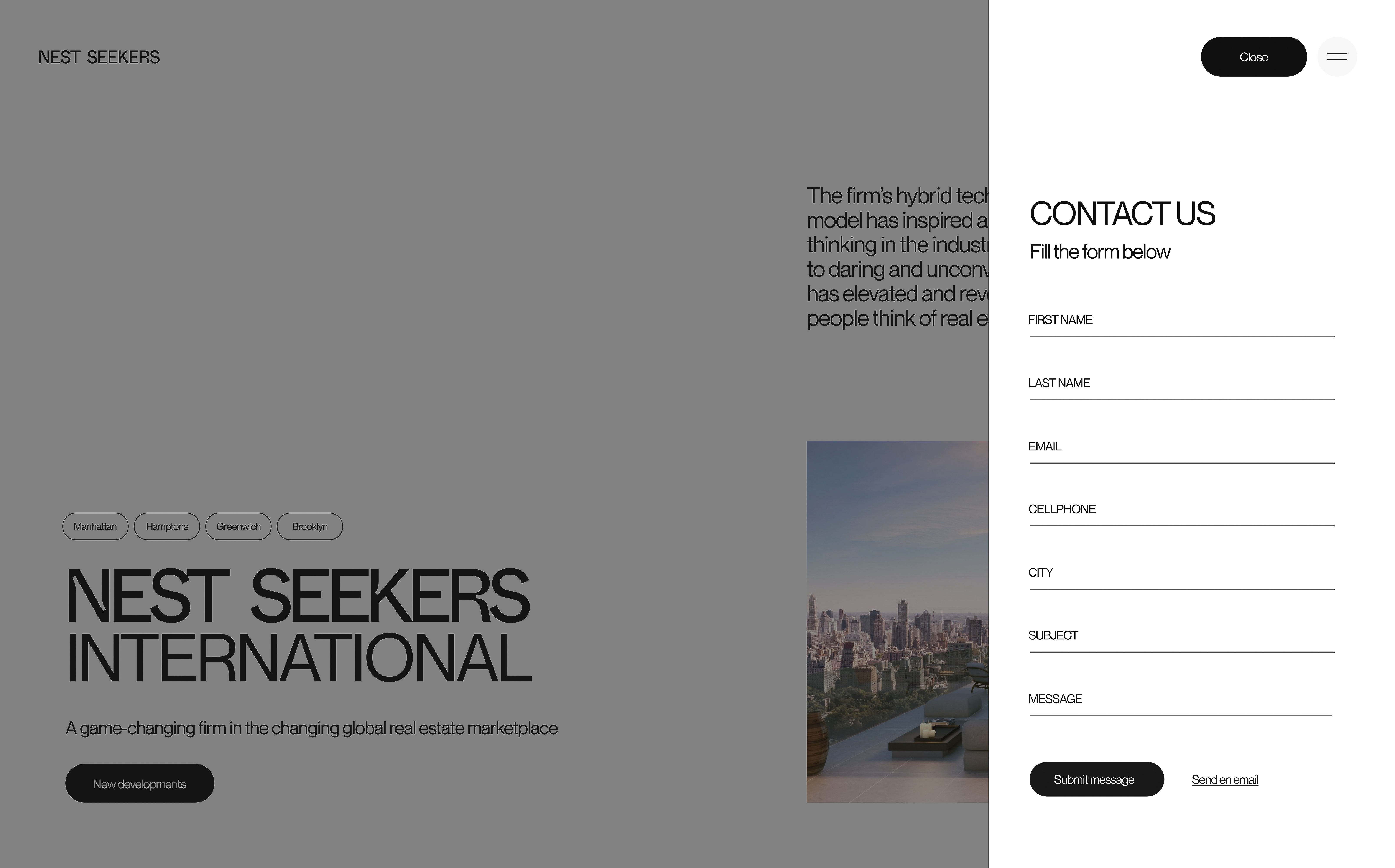 Nest Seekers International website featuring a contact form, text about the company, and an image of a cityscape.