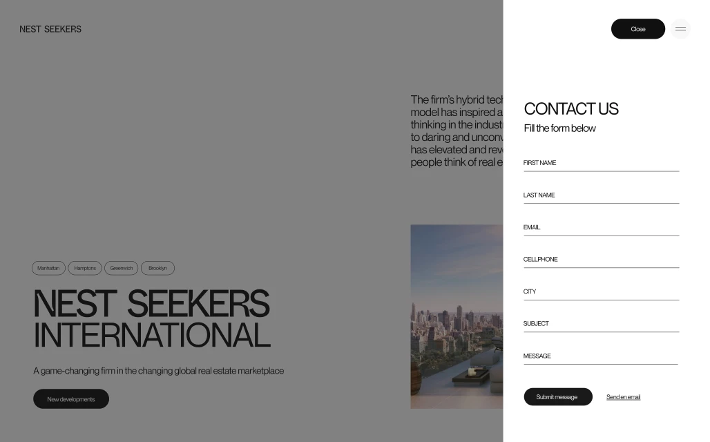 Nest Seekers International website featuring a contact form, text about the company, and an image of a cityscape.