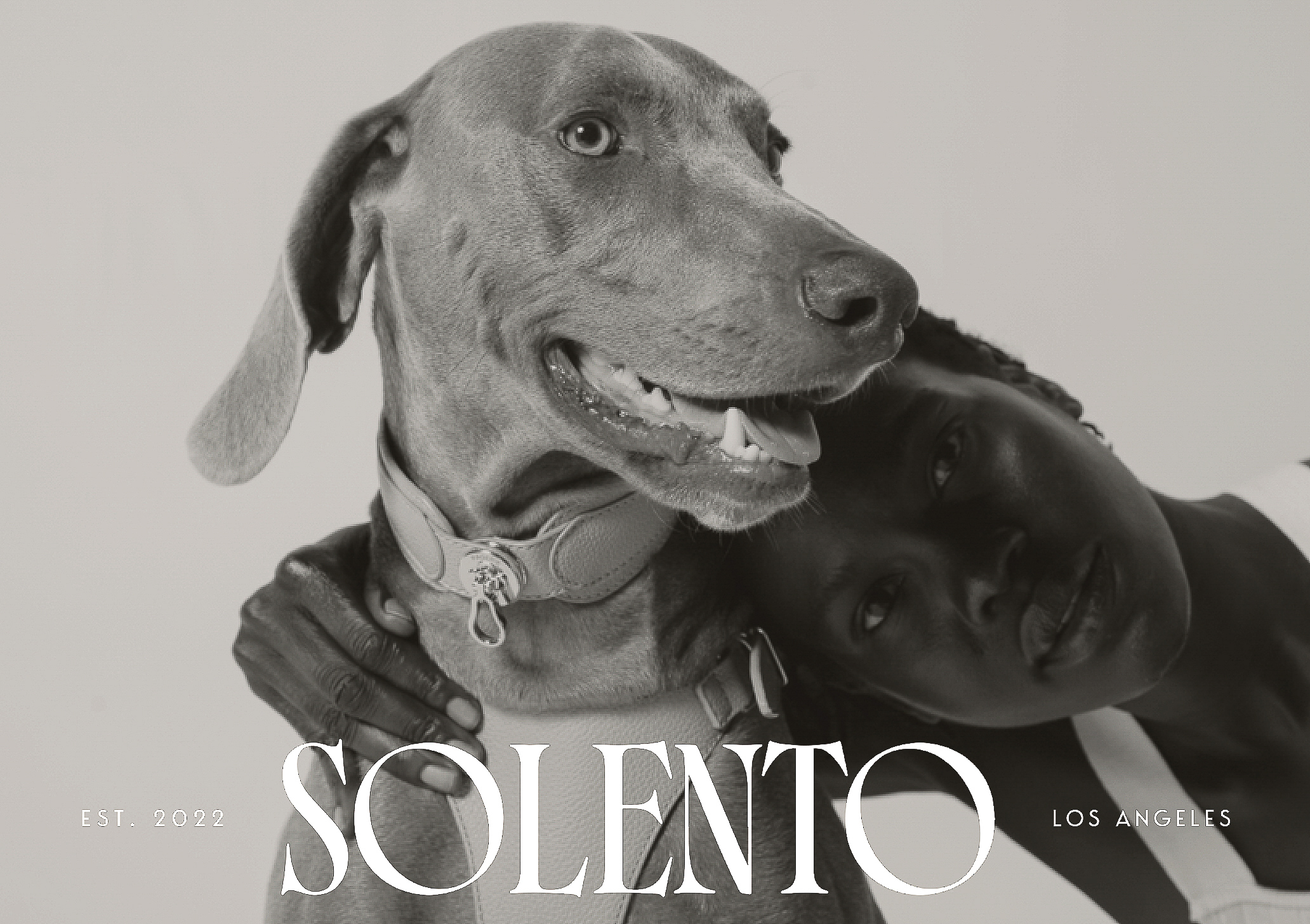 Monochrome portrait of a Weimaraner wearing a collar embracing a woman in a white tank top in a photo studio setting.