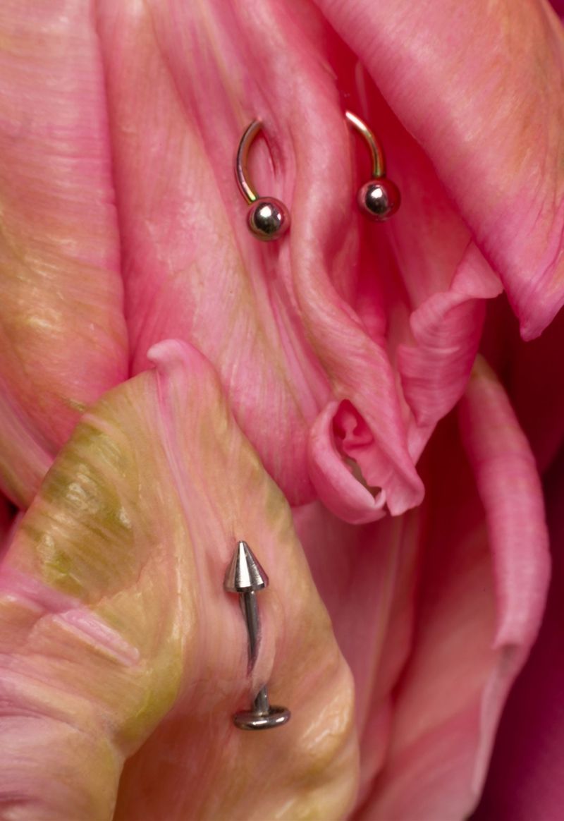 Close-up photo of pink flower petals with three silver-colored piercings. Soft, diffused lighting enhances the texture and color of the flower.