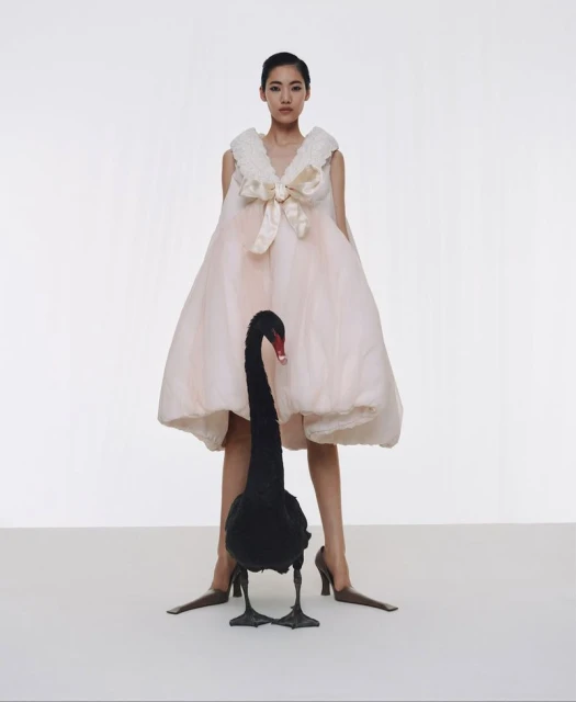 Fashion shot featuring a woman in a pink gown with a large bow, standing next to a black swan in a minimalist white studio setting.