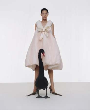 The New Swans