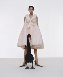 Model standing behind a black swan in a pale pink dress with a large bow against a white studio background