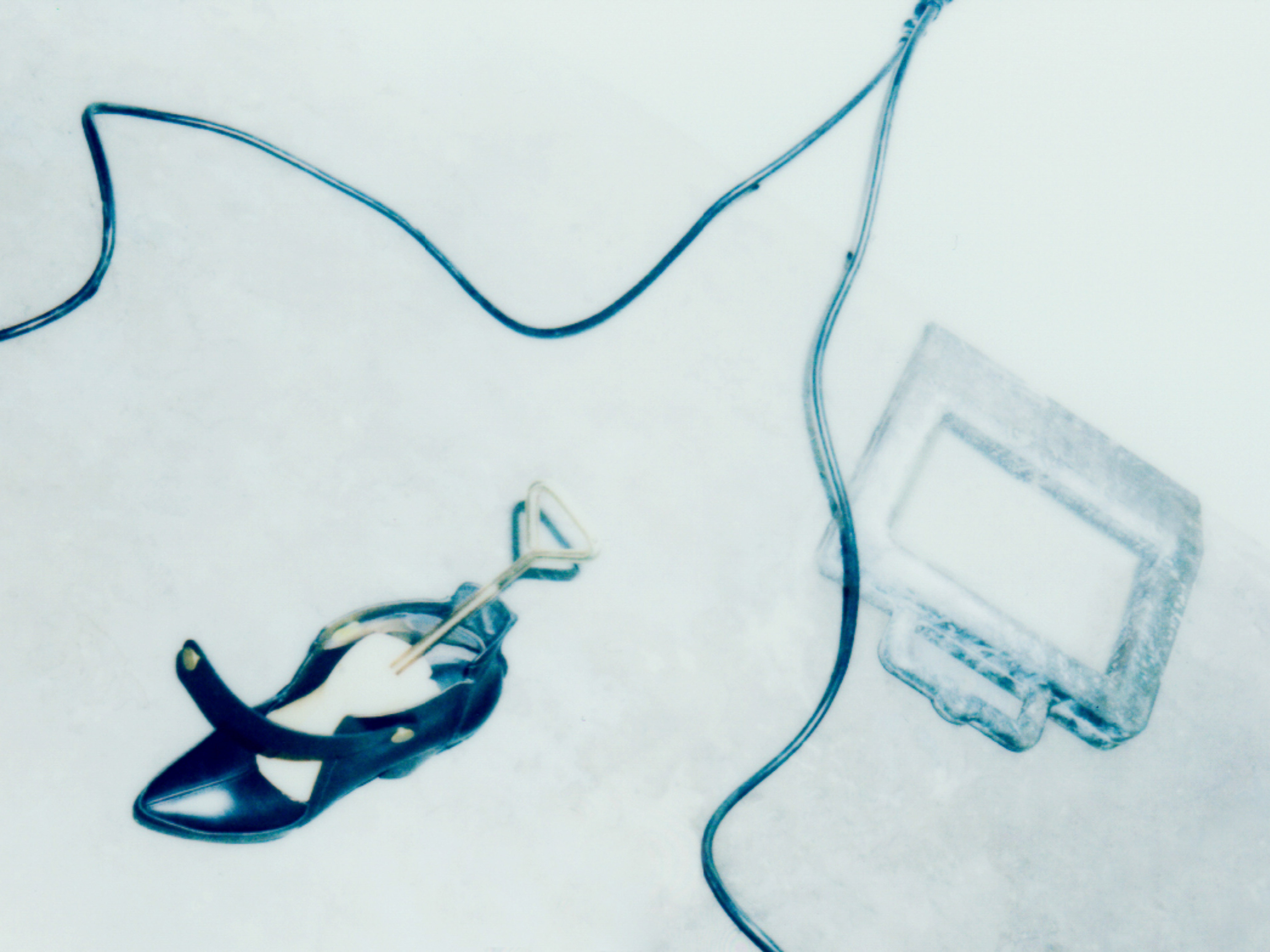 High-angle shot of a dark shoe with shoe stretcher, cord, and picture frame against a white backdrop with minimalist composition and blue tones.