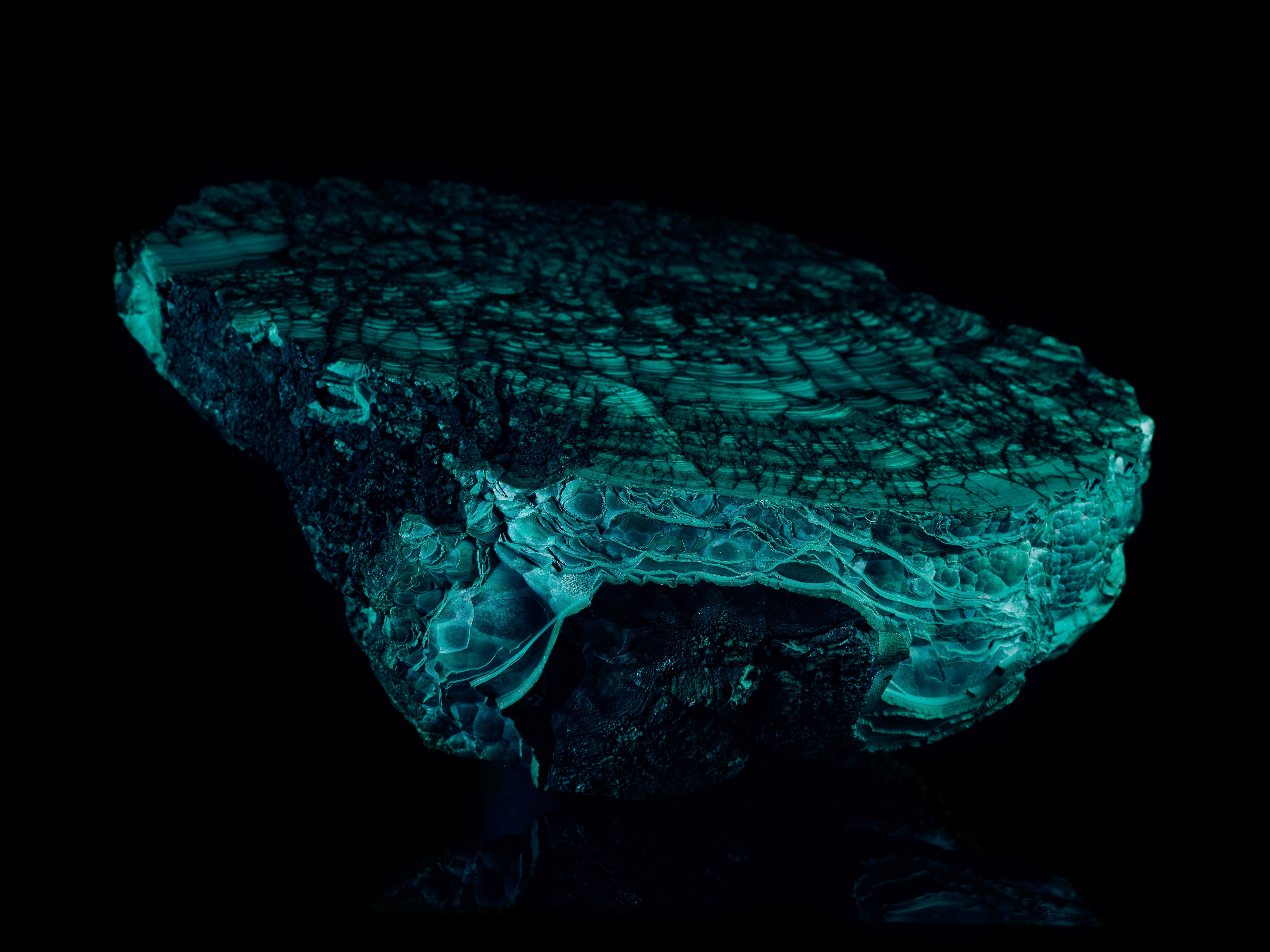 Close-up studio shot of a blue-green layered mineral rock with a textured surface on a black reflective surface and dark background.