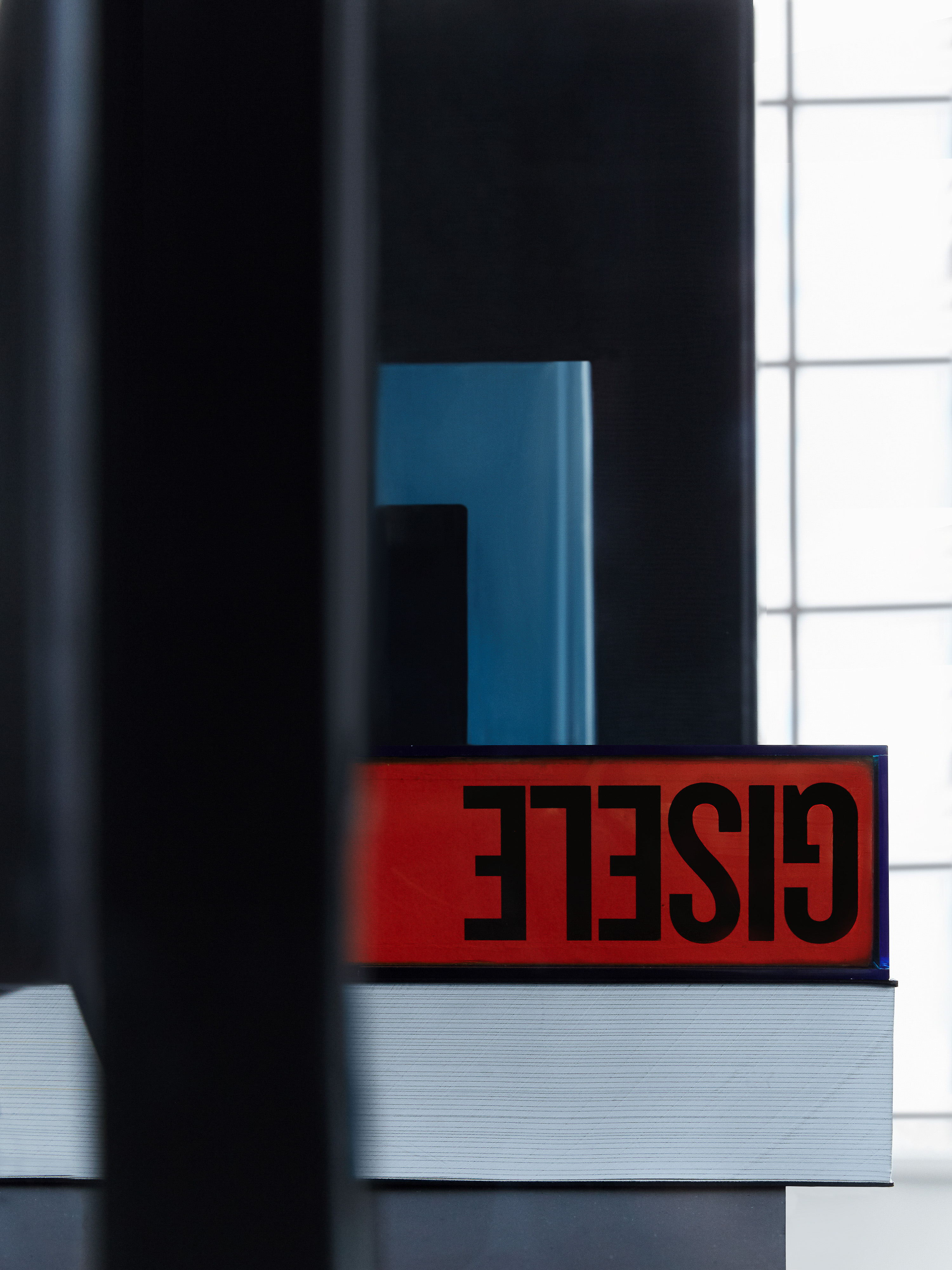 Stack of books with 'GISELE' text against bright window light, shadowed frame foreground, simple composition and bold graphic design.