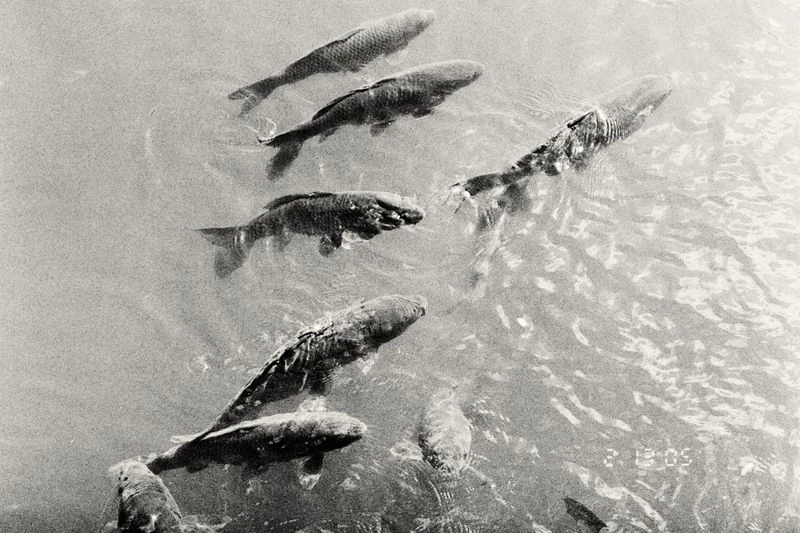 First Instinct - TOKYO