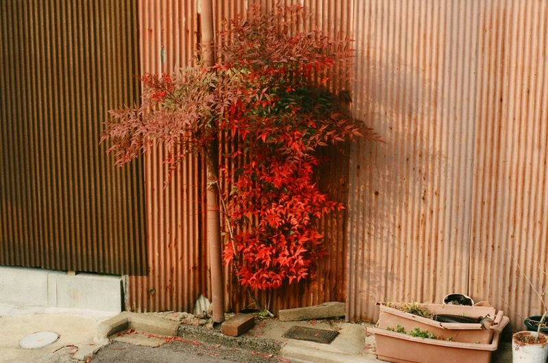 First Instinct - TOKYO