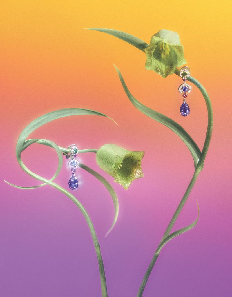 Elegant dangle earrings featuring precious stones set on a botanical stem, set against a gradient orange and violet background.
