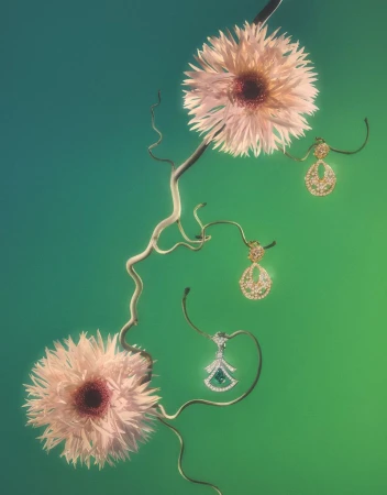 Flower Bloom