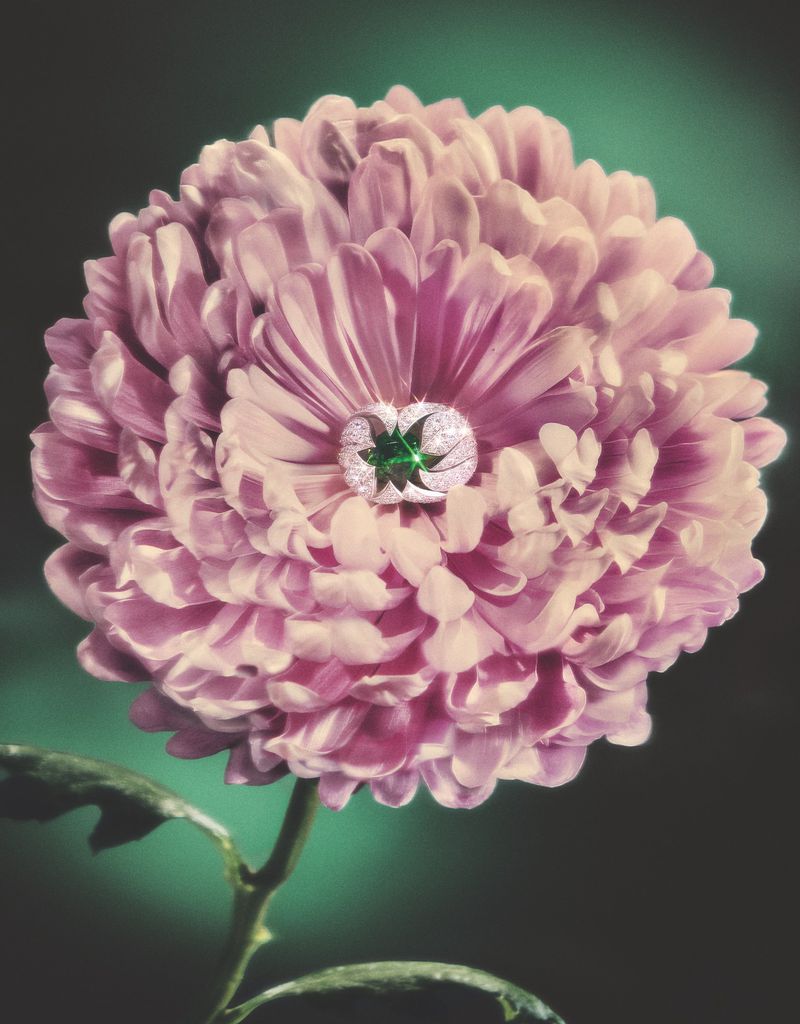 Close-up shot of a pink flower with a diamond and emerald ring in the center, set against a blurred green and black background.