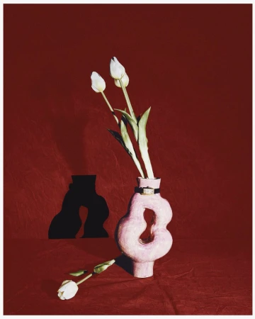 Still life of white tulips in a light pink vase against a deep red background with dark shadow; one tulip rests on its side.