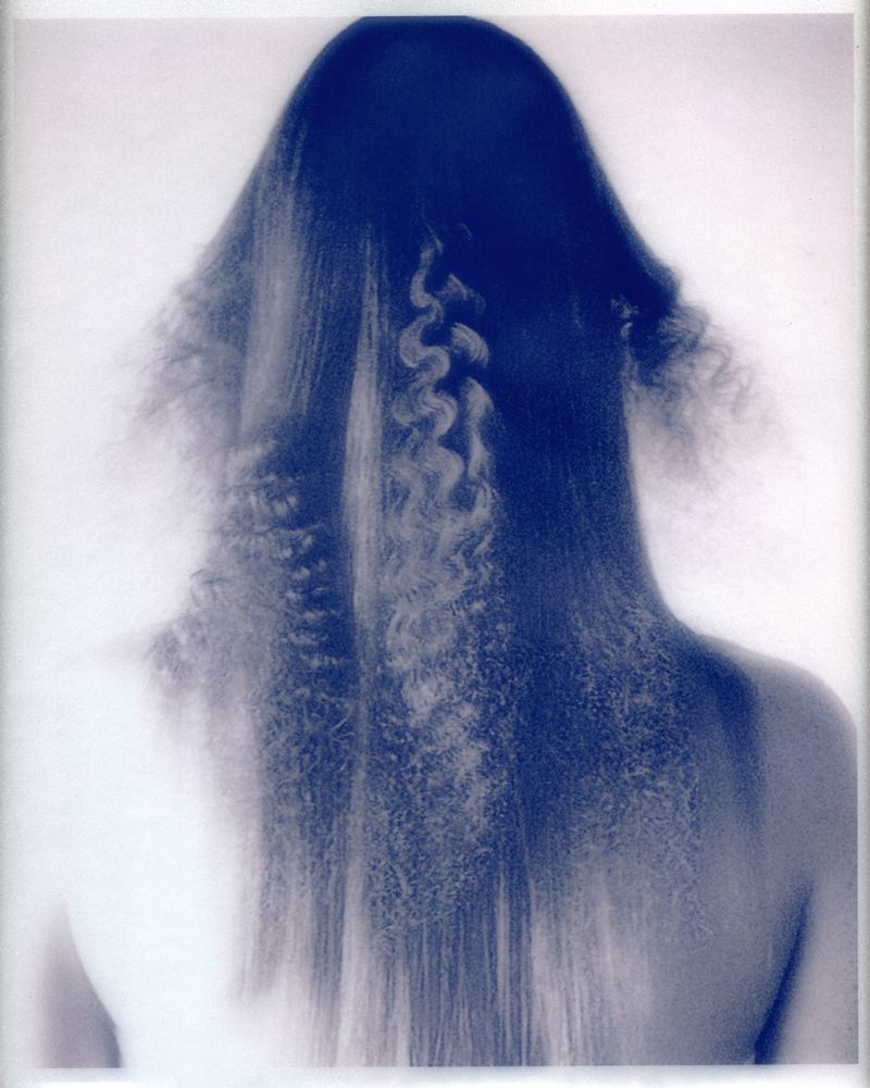 Back of a woman's head with dark crimped and straight hair against a light background in a studio shot. Hair styling concept.