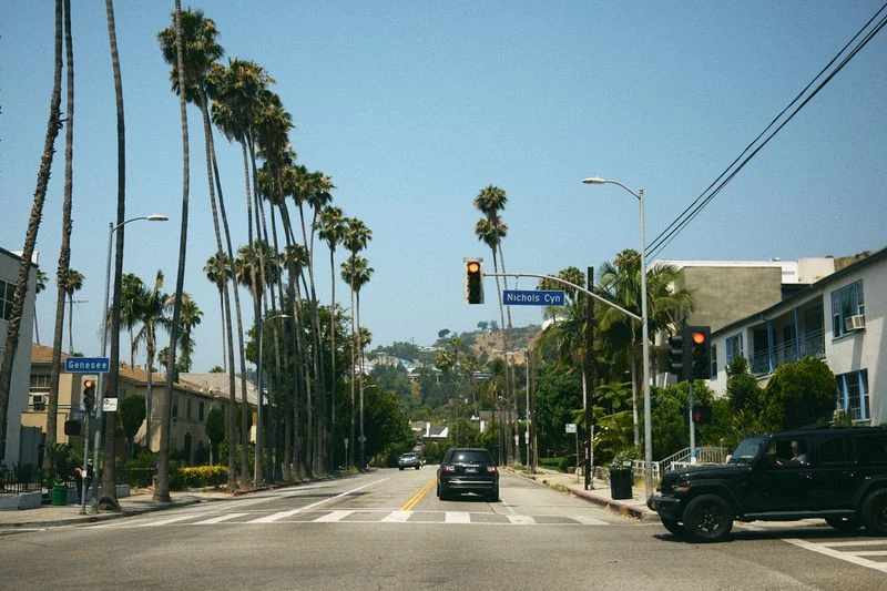 Los Angeles street view featuring palm trees lining the road, clear sky above, and cars driving through the sunny scene.