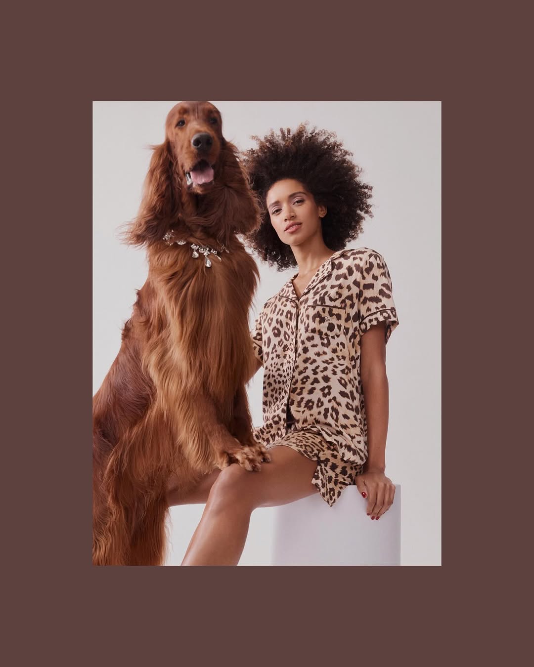 An Irish Setter with a diamond collar stands next to a woman in leopard-print pajamas, both looking towards the camera in a studio setting.