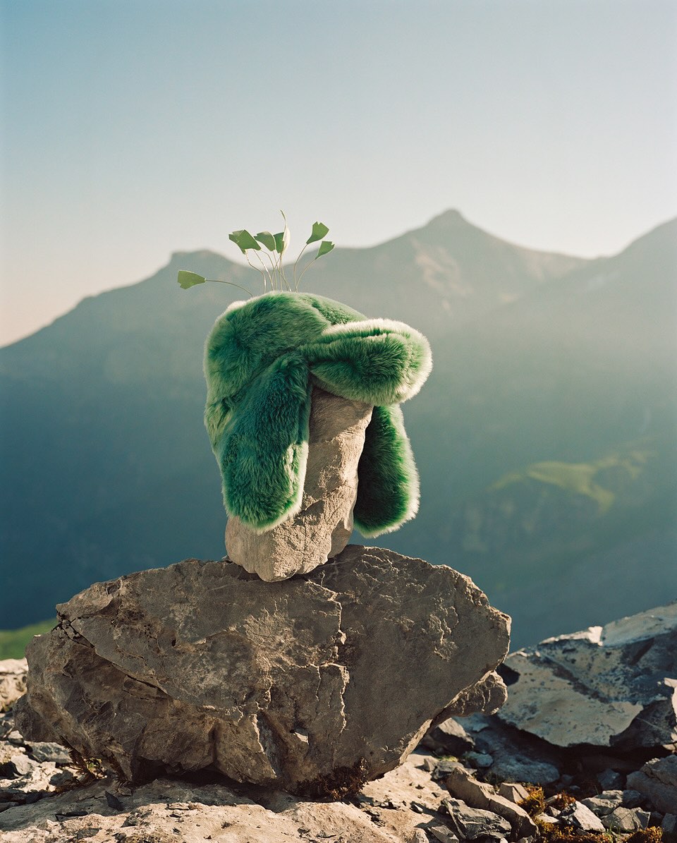 Fuzzy green trapper hat sits atop a weathered stone with green sprouts, set against a backdrop of mountains under a clear blue sky.