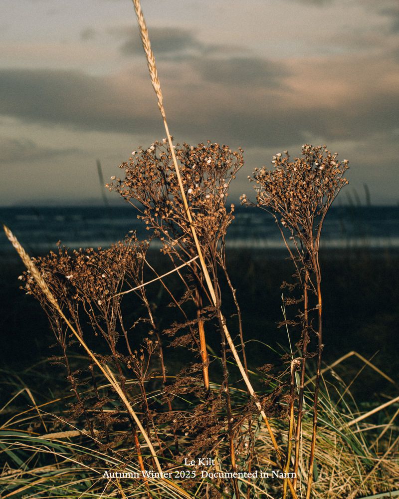 Beach landscape featuring dried floral arrangements in golden light, moody sky, and tranquil ocean backdrop.