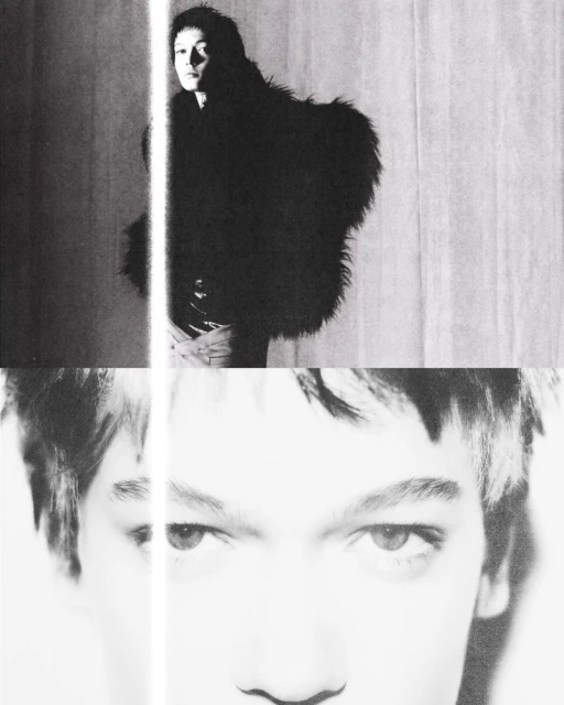 The Hollow Reverie