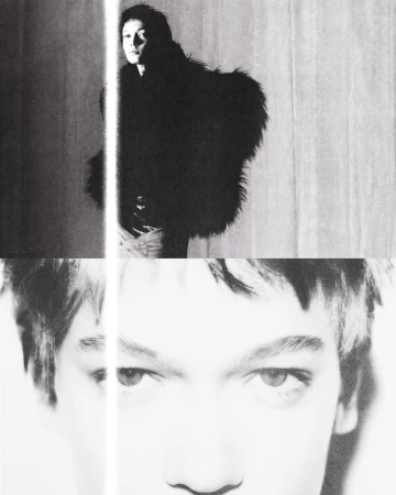 The Hollow Reverie