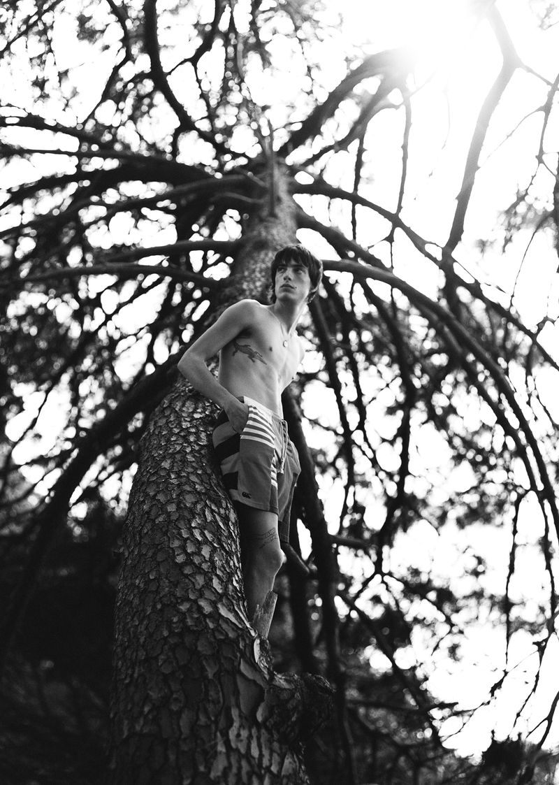 Monochrome portrait of shirtless man climbing a tree, wearing striped shorts, surrounded by dense branches in a forest setting.