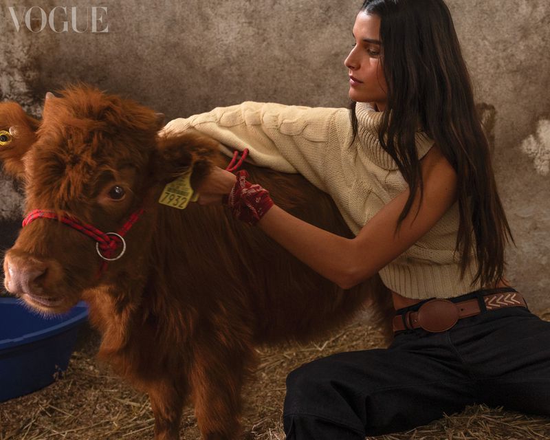 A young woman in a cream-colored sweater sits on hay next to a reddish-brown calf wearing a red halter in a barn-like setting.