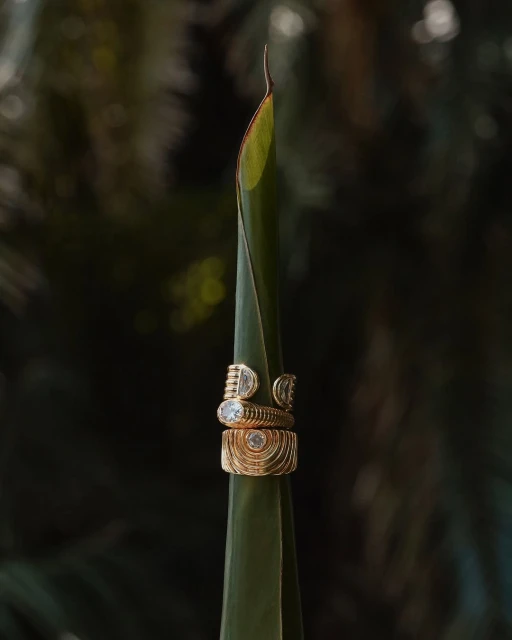 Close-up studio shot of gold rings with gemstones placed on a green plant leaf, with a blurred dark green background.