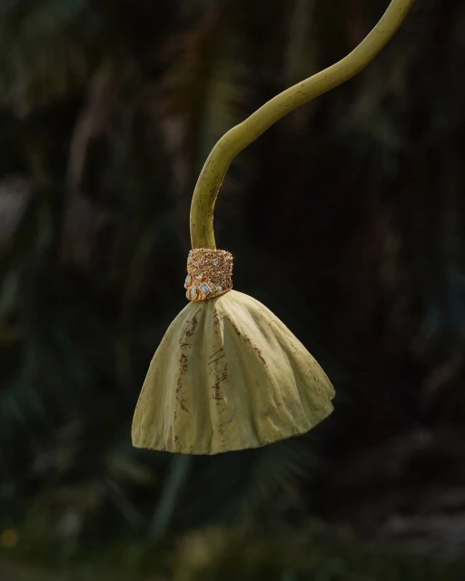 Close-up shot of a lotus seed head with its stem, showcasing its natural texture and unique shape against a dark, blurred background.