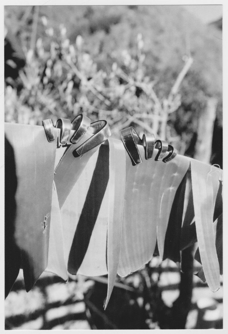 Close-up of laundry drying on a line with metal clips, set against an out-of-focus background of foliage and a blurred fence.