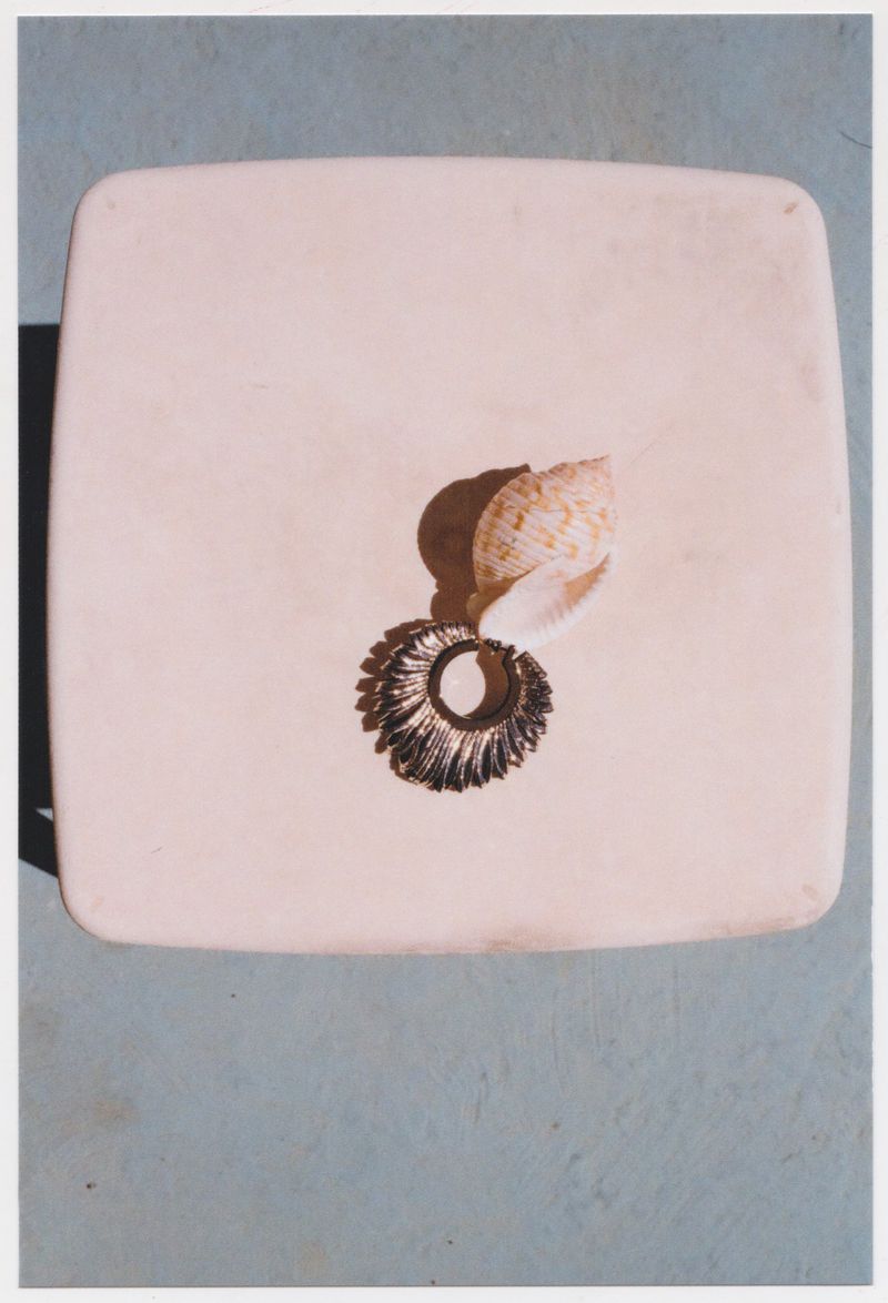 Overhead shot of a seashell and black floral ring on a square, cream-colored surface against a muted blue background with soft lighting.