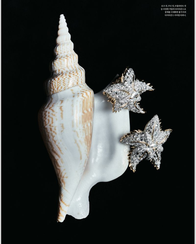 Elegant still life of a conch shell alongside two decorative starfish-shaped ornaments adorned with white gemstones and gold accents, set against a black backdrop.