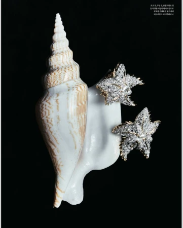 Elegant still life of a conch shell alongside two decorative starfish-shaped ornaments adorned with white gemstones and gold accents, set against a black backdrop.