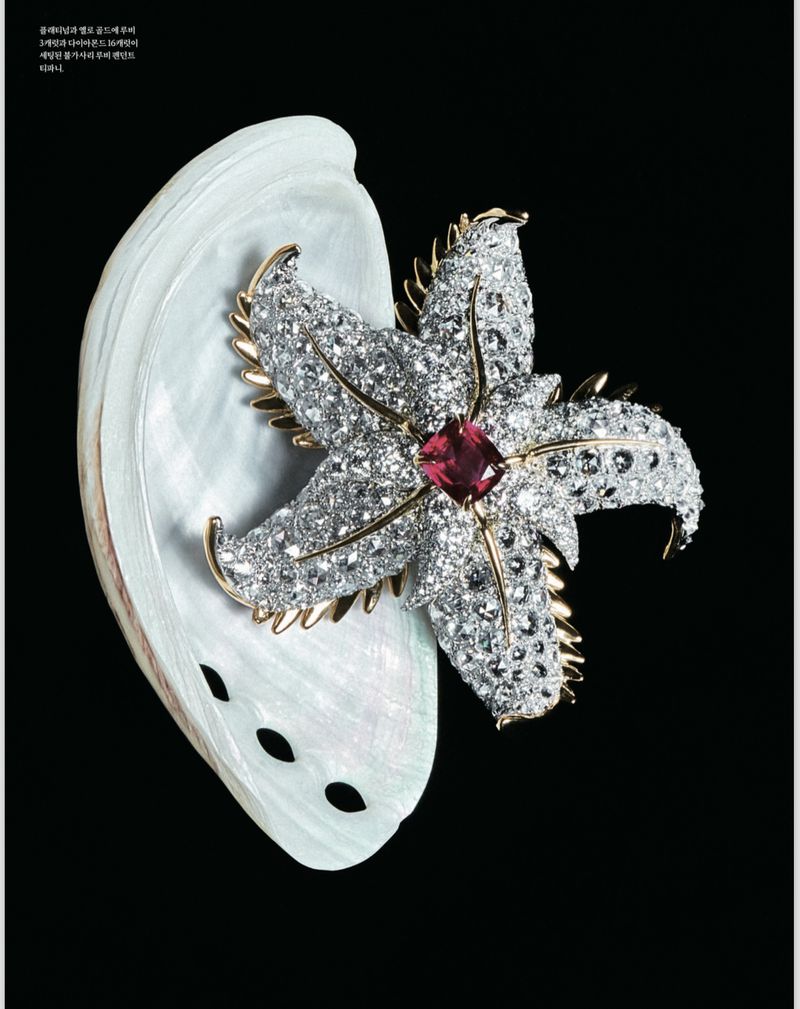 Close-up product shot of a starfish brooch with white and red stones placed on a pearlescent seashell against a black background.