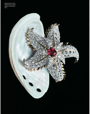 Close-up shot of an ornate starfish-shaped diamond brooch with a central ruby resting inside an abalone shell against black.