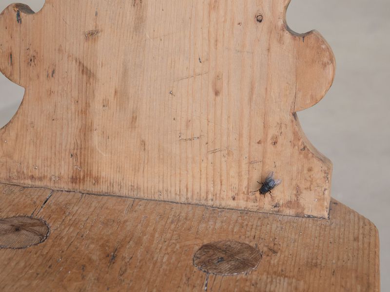 Close-up of a wooden chair with decorative back, featuring wood grain, and a small fly on the seat.