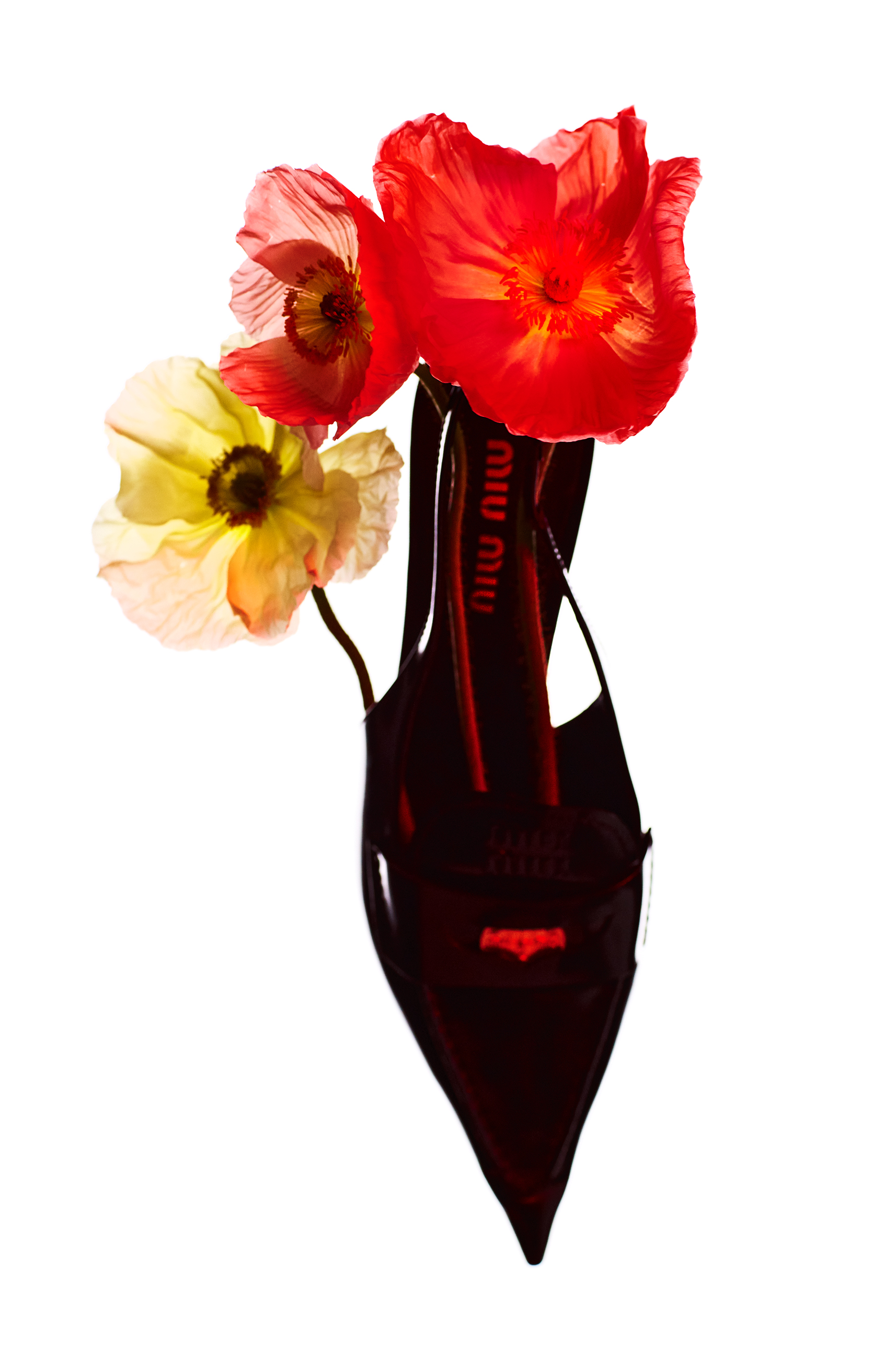 A high heel shoe from Miu Miu is filled with red and white flowers, set against a white background for fashion advertising.