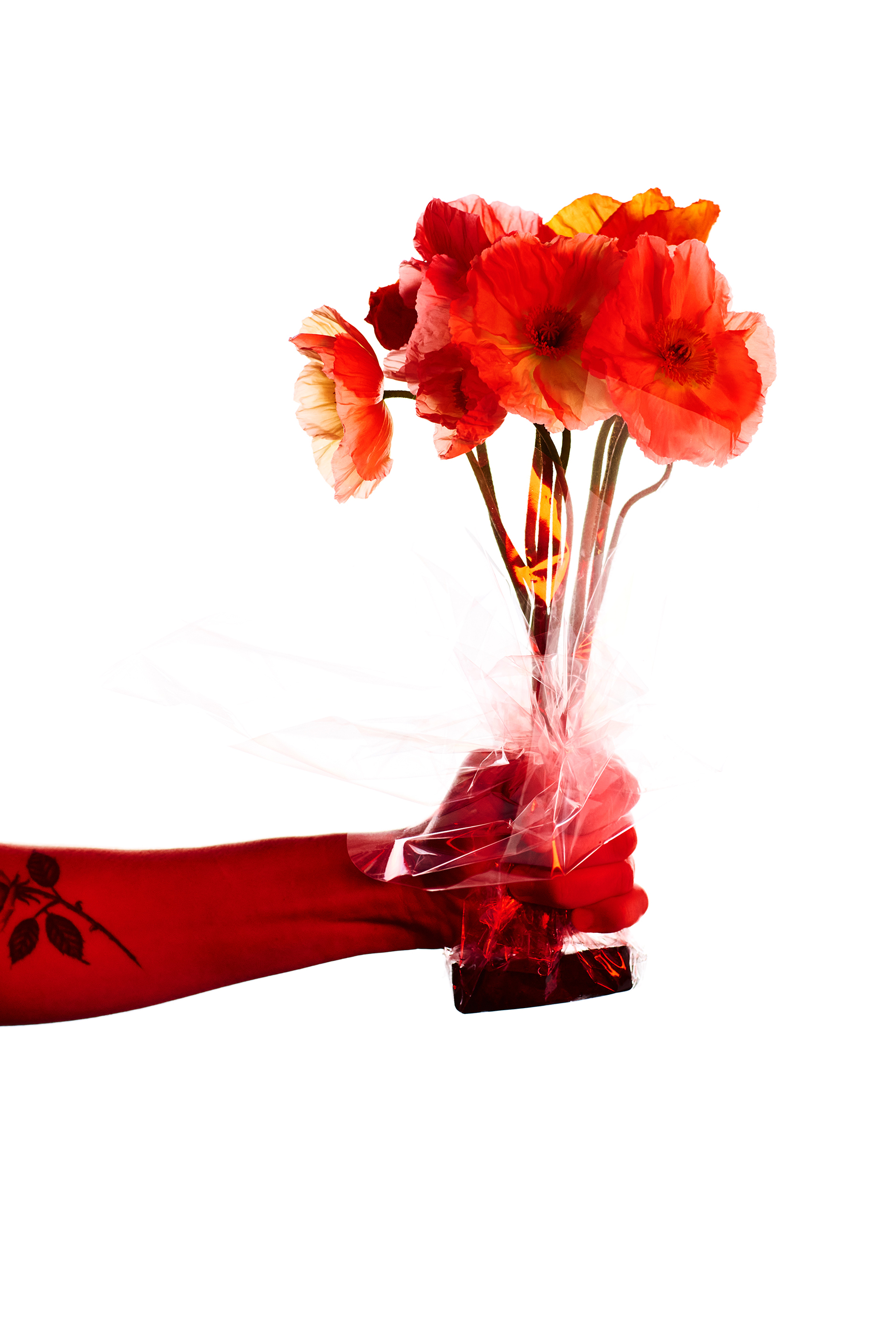 Close-up of an arm holding orange flowers wrapped in clear plastic, against a bright white background; decorative tattoo on forearm.