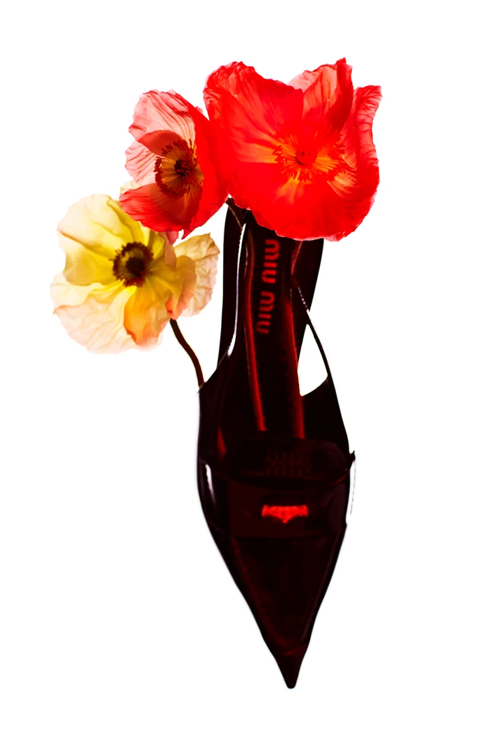 Red and white poppy flowers emerging from inside a dark pointed designer slingback shoe against a seamless white background.