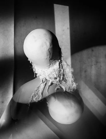 Monochrome abstract artwork featuring a bulbous, textured form with draped fabric, set against a starkly lit background with geometric shadows.