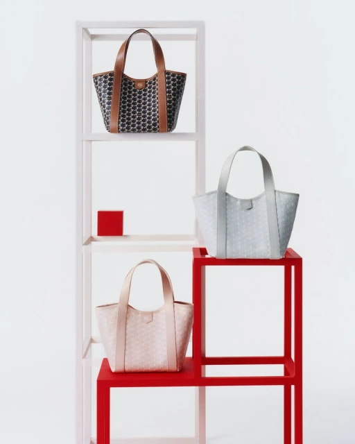 Moynat Duo BB Canvas Summer 2025