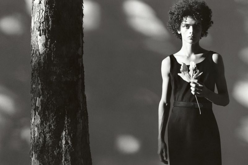 Monochromatic fashion portrait of a person with curly hair in a sleeveless dress, holding a leaf, standing next to a tree trunk.