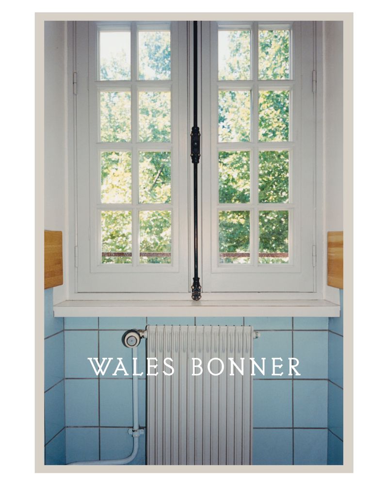 Indoor shot of a white window with trees visible through the panes, above a blue-tiled wall and radiator in a minimalist setting.