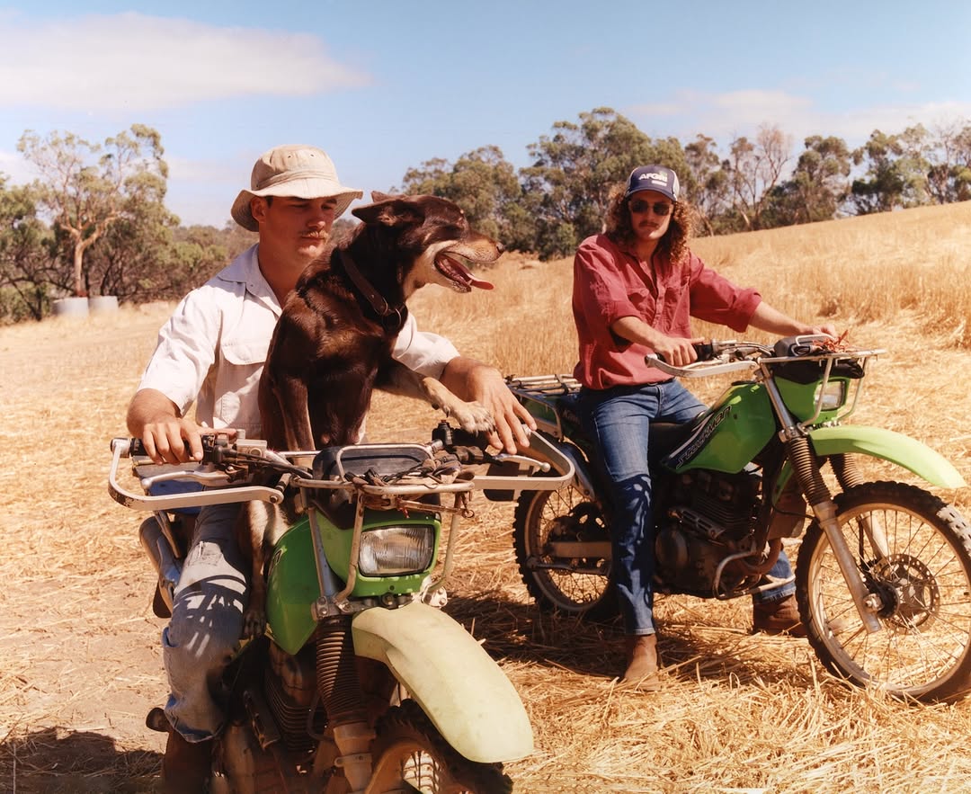 Two men are riding green dirt bikes in a grassy field on a sunny day, one man has a dog on his bike in front of him.