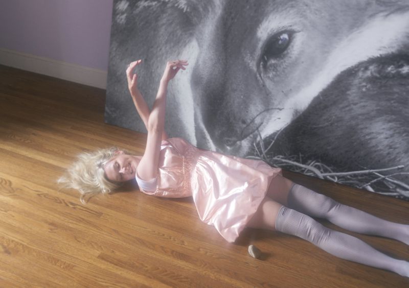 Woman in a pink dress lies on a wooden floor with arms raised, with a large black and white wolf portrait in the background.