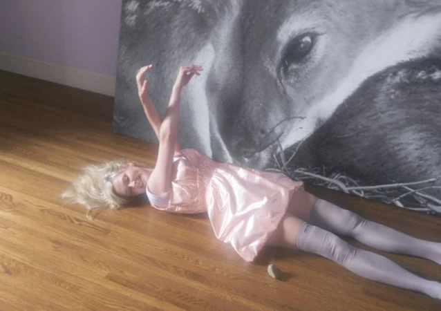 Woman in a pink dress lies on a wooden floor with arms raised, with a large black and white wolf portrait in the background.