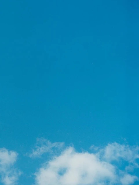 Late Summer Dressing