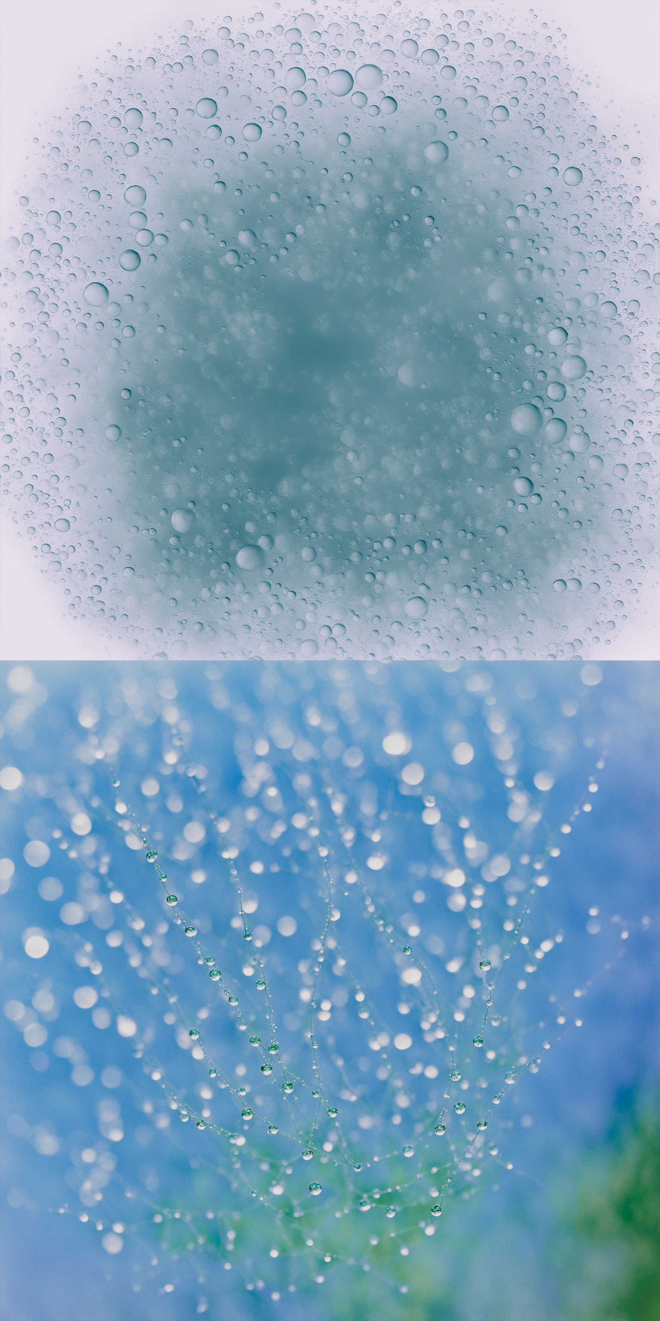 Abstract close-up of liquid droplets and bubbles in shades of blue and white creating a textured pattern and unique visual effect.